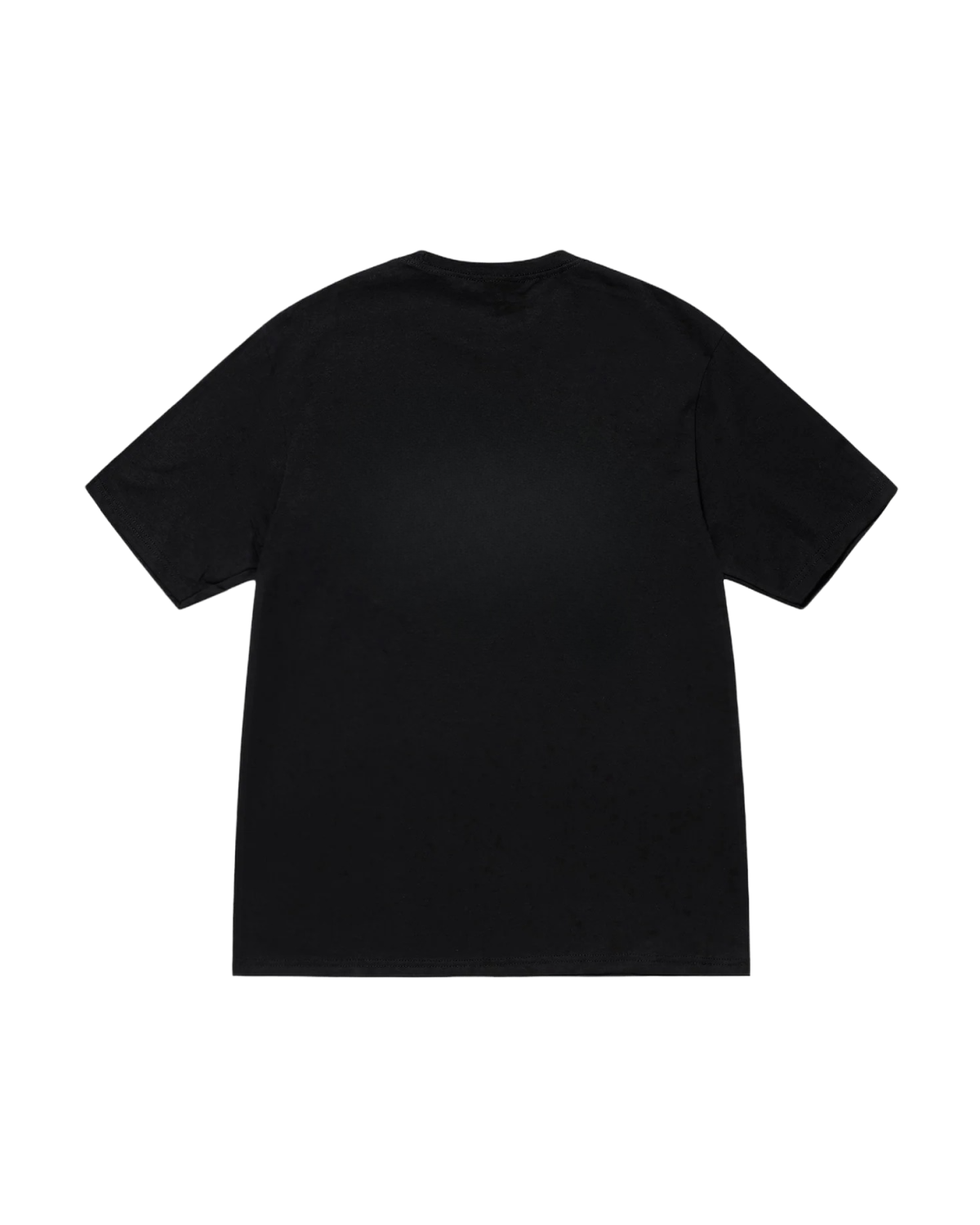 Basic-Tee-000000-back